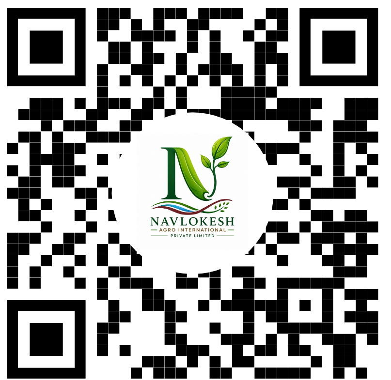 Website QR Code