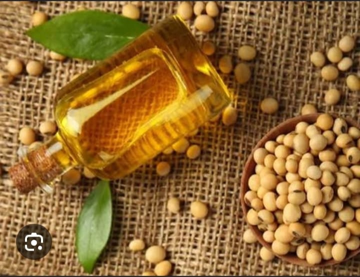 Oil Seeds(Chavali)