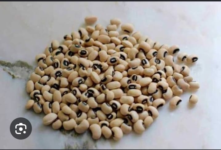 Chavali Beans
